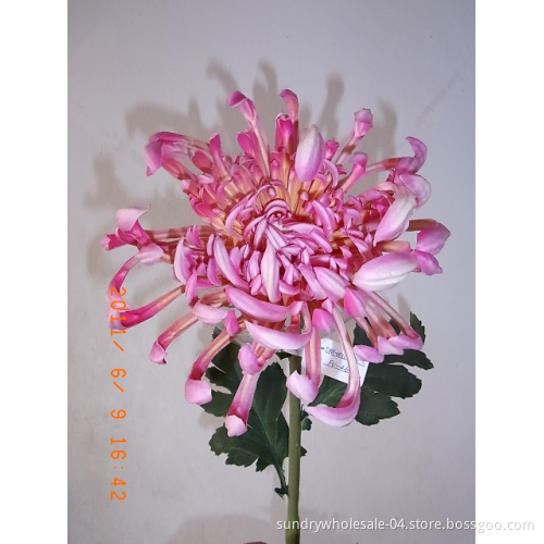 Floramatique Daisy Flower